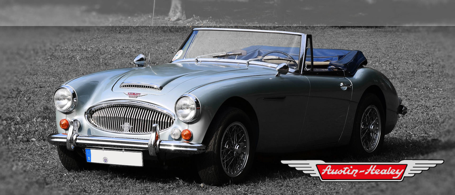 Austin Healey