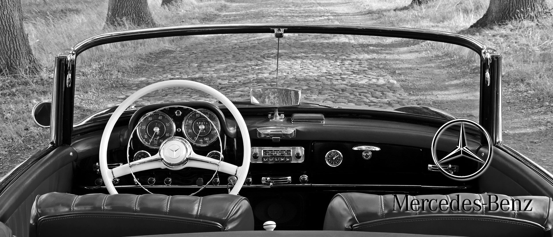 Mercedes Benz Trim Fasteners