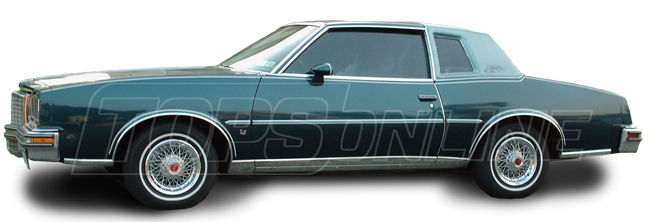 cp-snirA--1978-Pontiac-Grand-Am-watermark.jpg