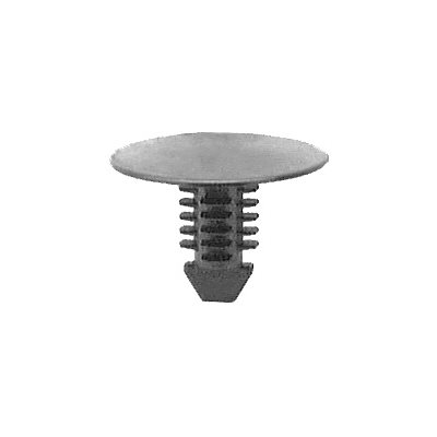 18236-4qMD3tqooHOLxP