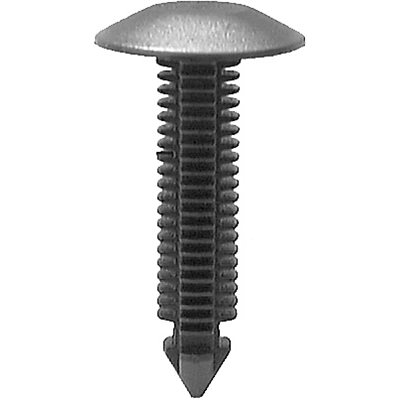18240-D6hYNq1qFQZbJb